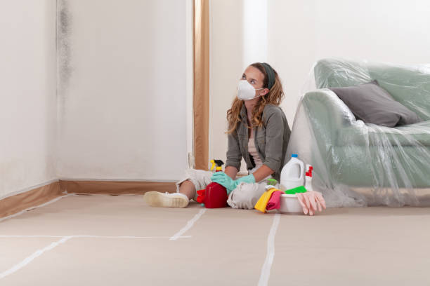 Reliable Crawl Space Mold Removal contractor in Hialeah, FL by WQB Mold Removal
